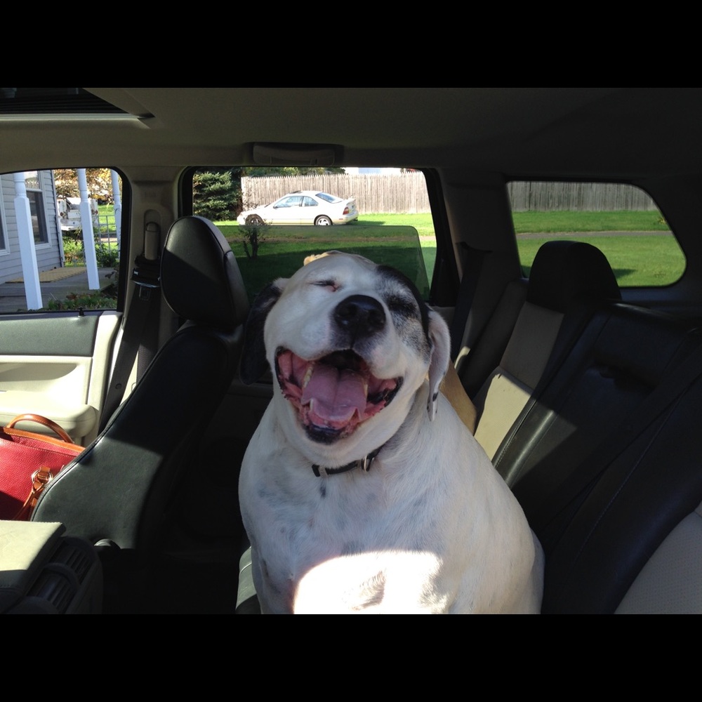 Meet your Posher, Staci